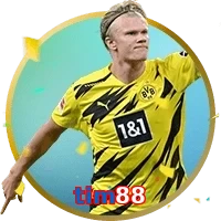 tim88